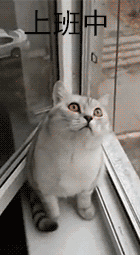 image/gif